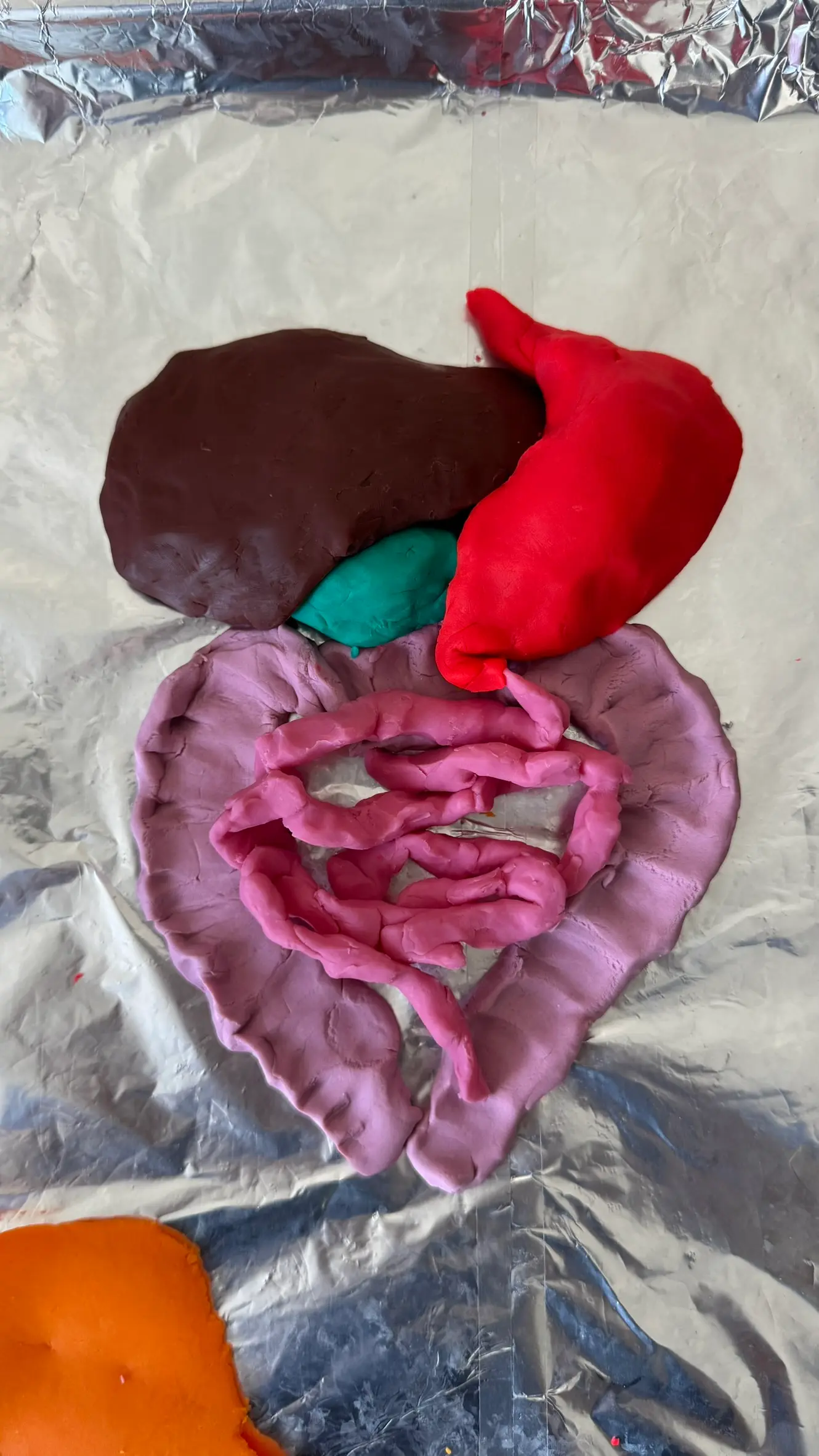 Play-dough organs setup for surgery: liver, stomach, gallbladder, intestines